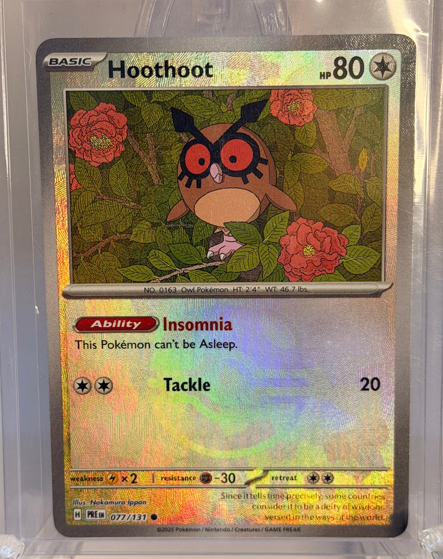 077-Hoothoot MB Rev Holo